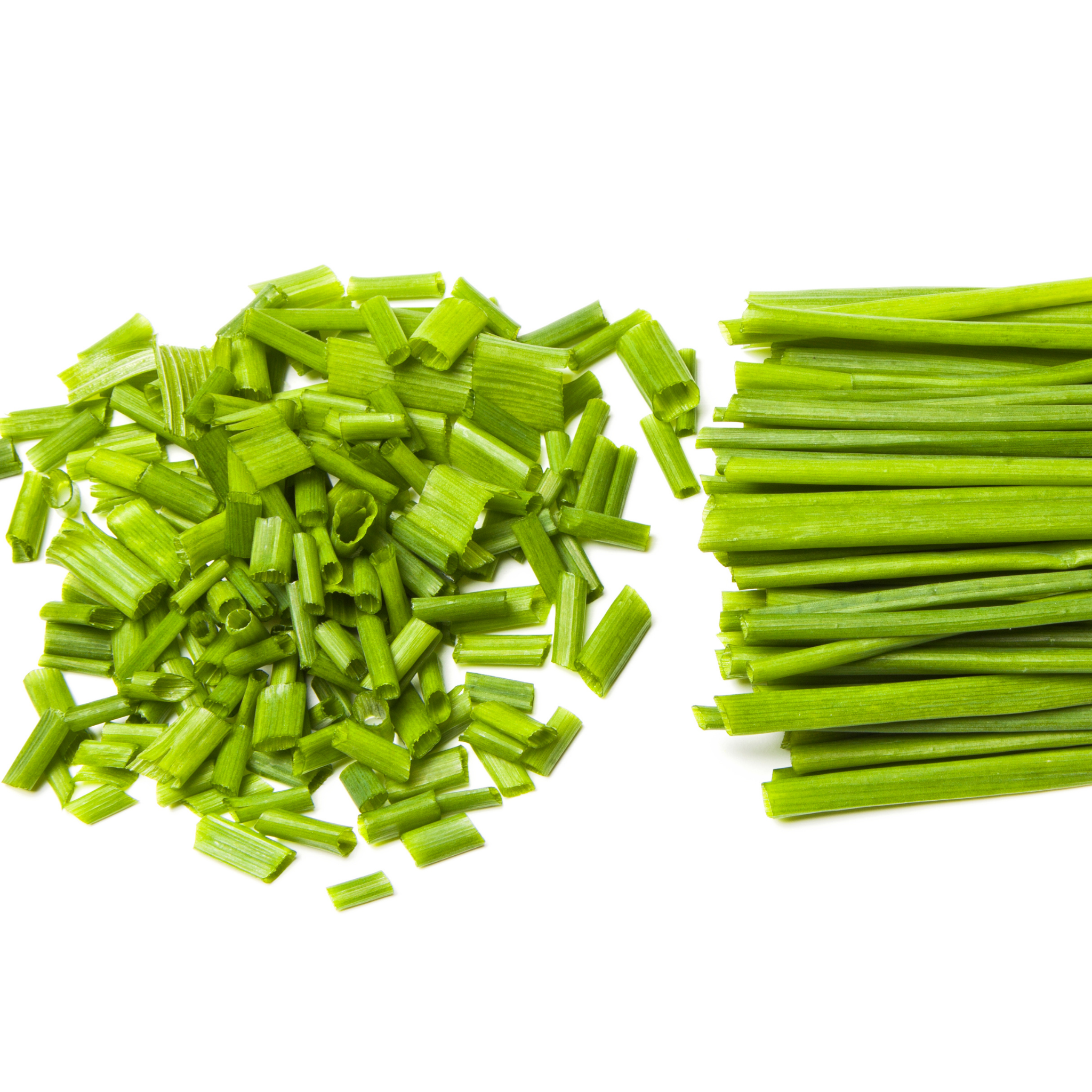 Chives - Allium schoenoprasum