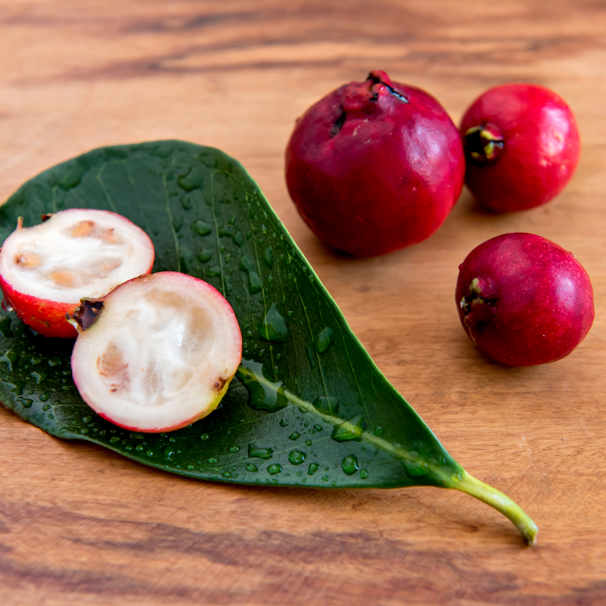 Red Strawberry Guava Tree - Psidium cattleianum Red