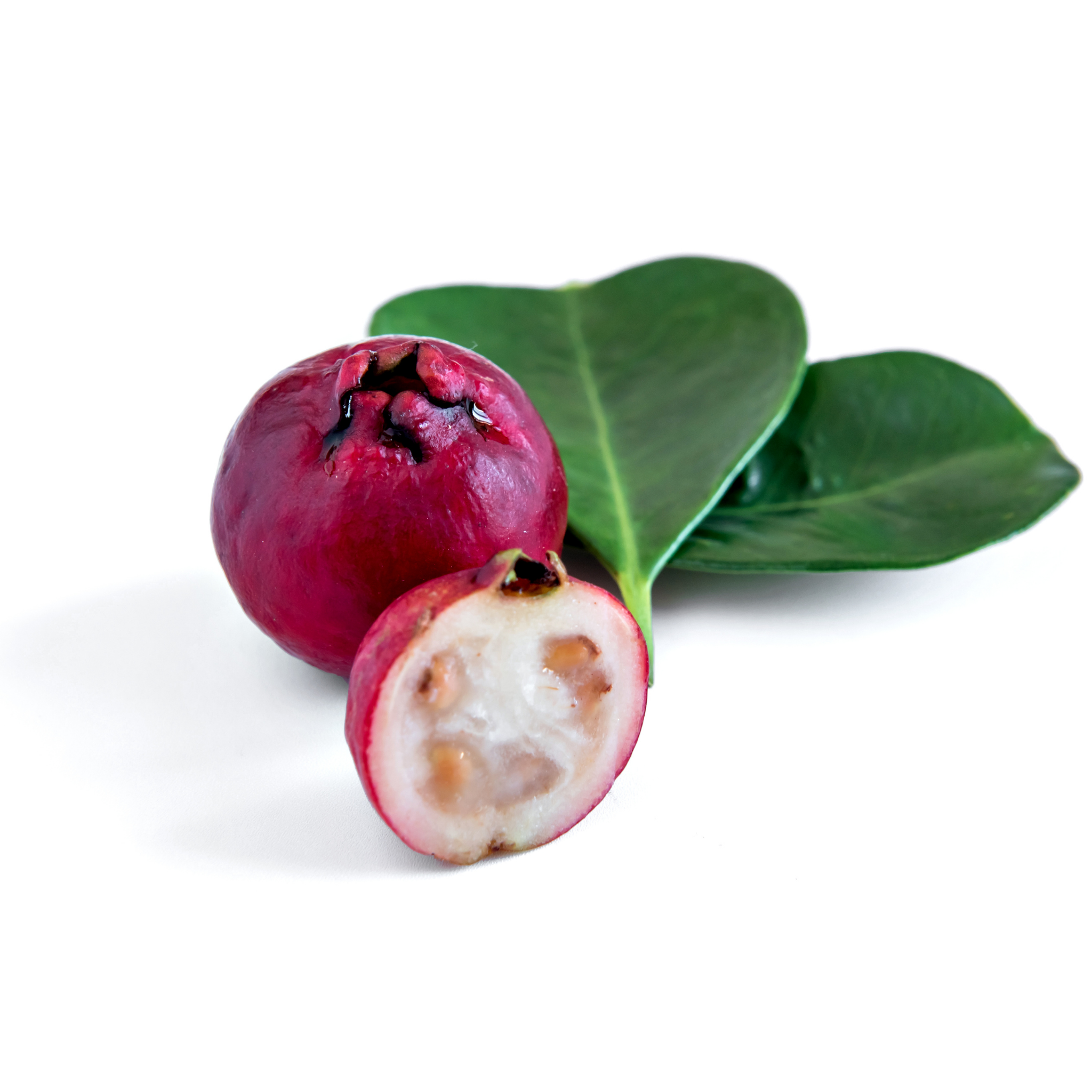 Red Strawberry Guava Tree - Psidium cattleianum Red
