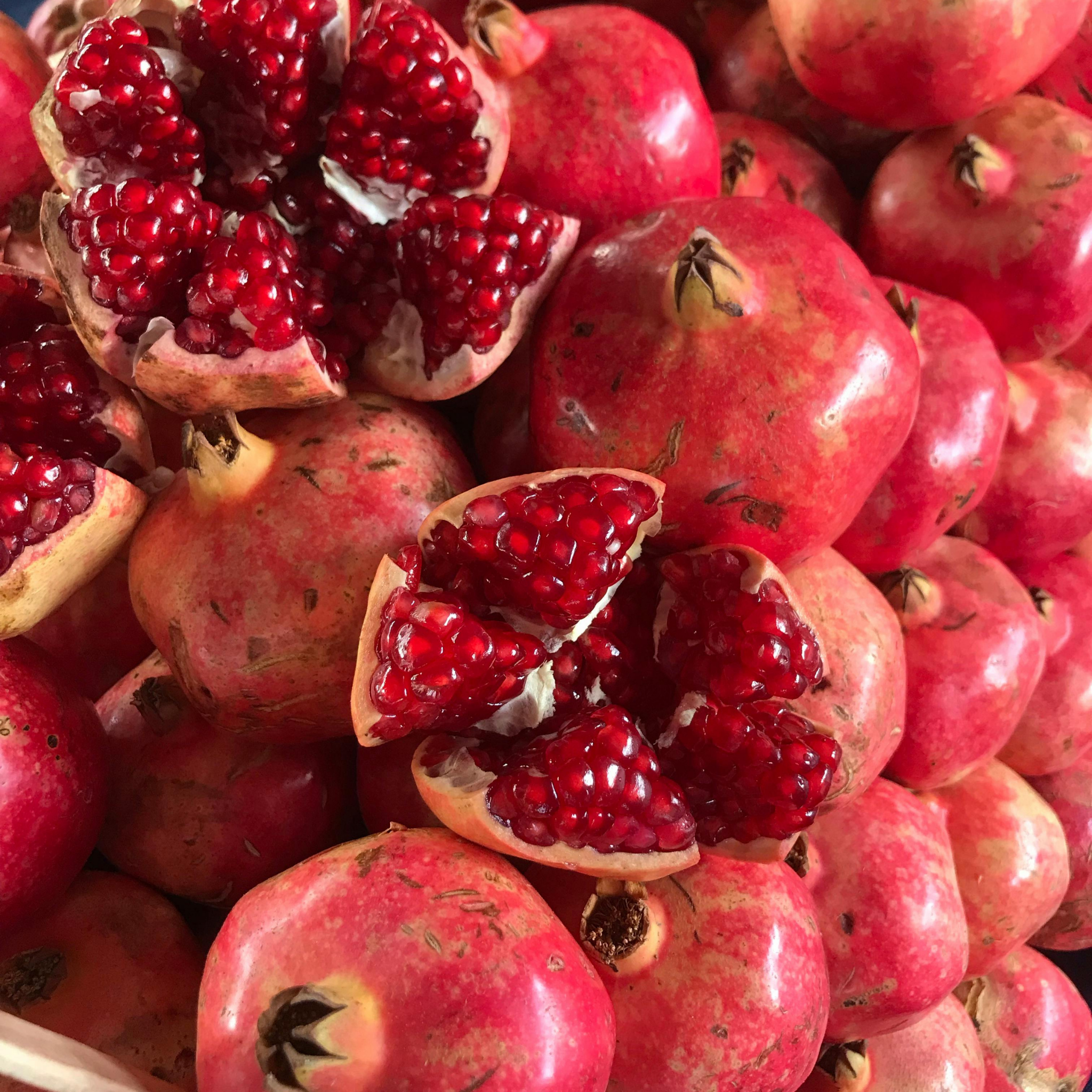 Pomegranate Tree - Punica granatum Wonderful