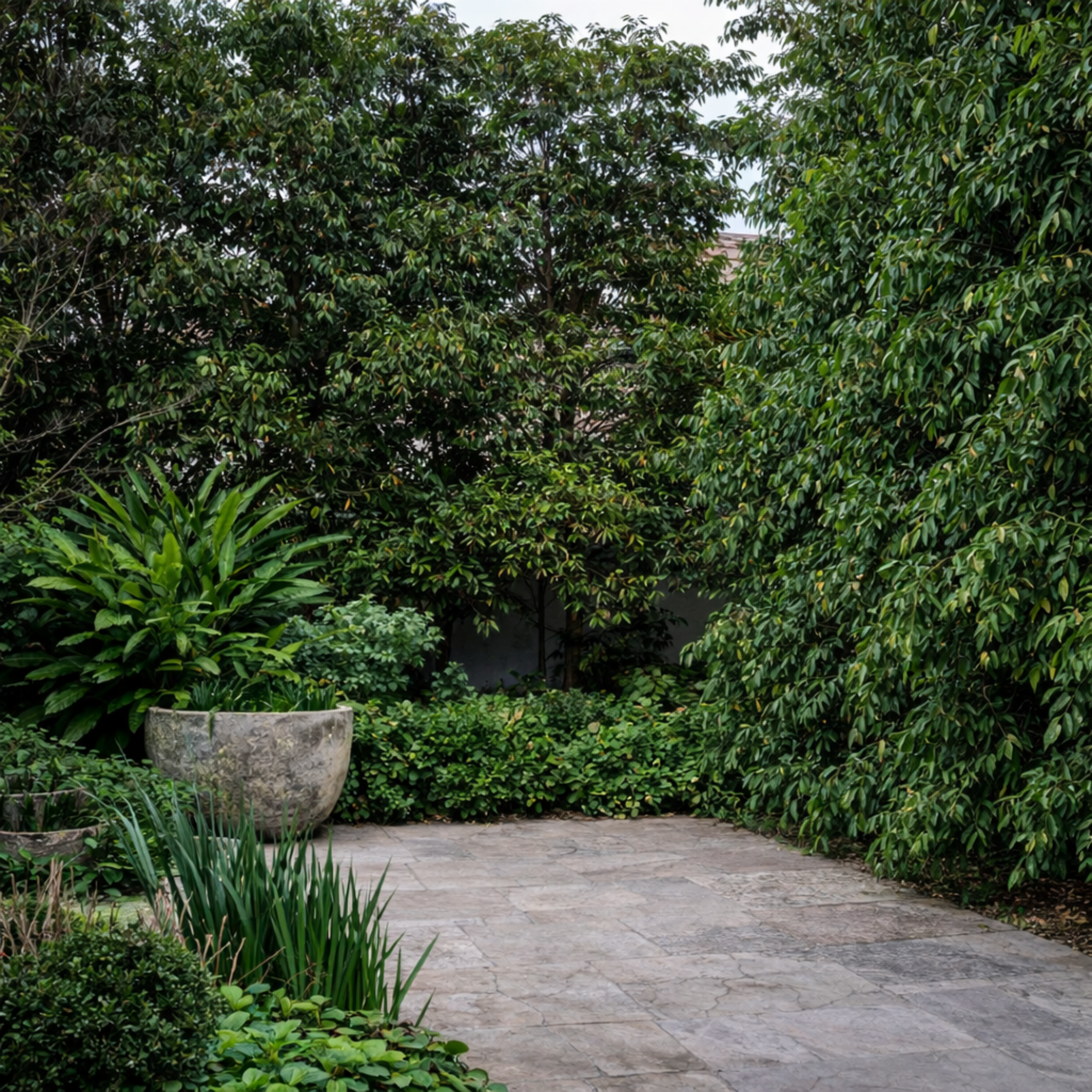 Paved pathway surrounded by lush greenery in a garden setting