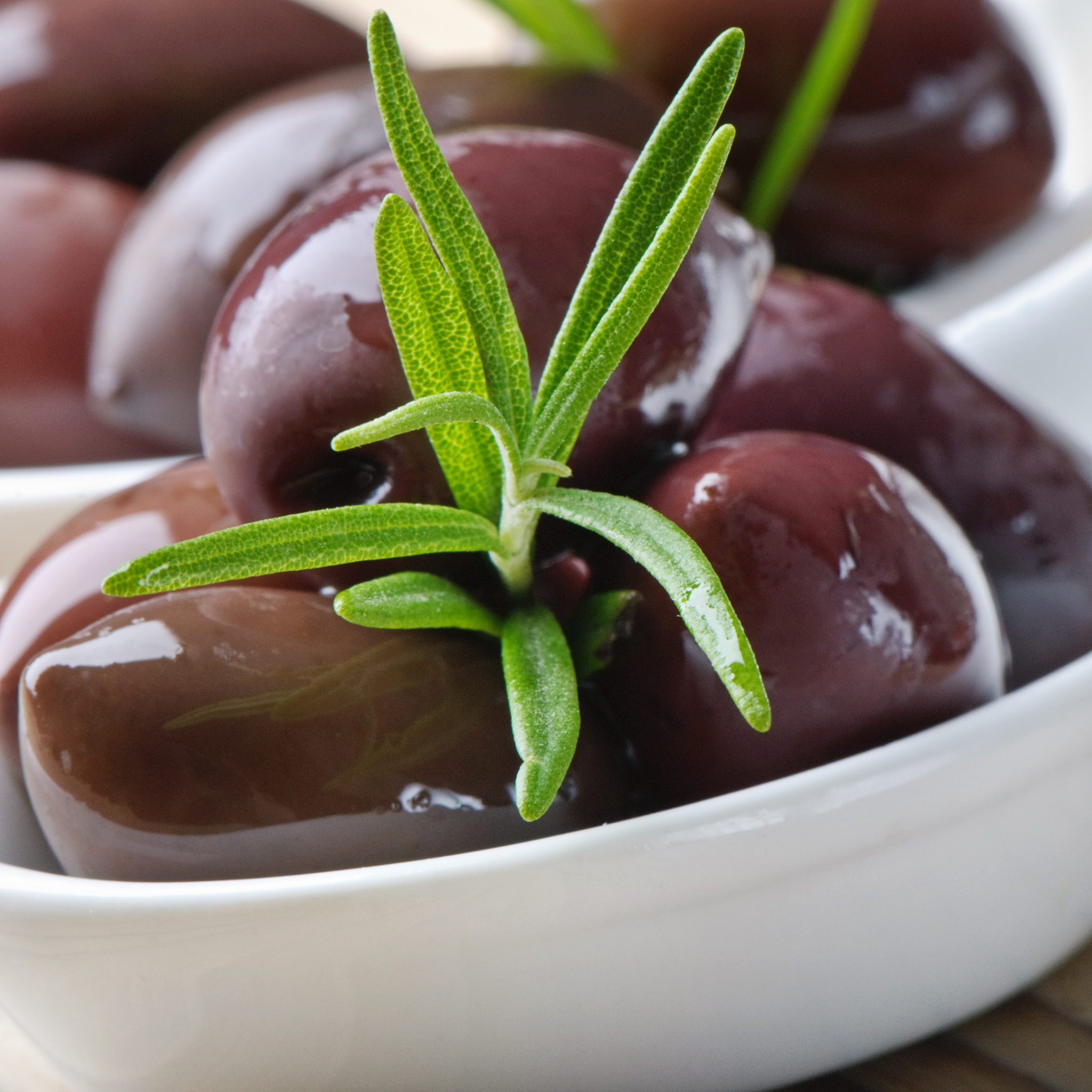 Jumbo Kalamata Olive Tree - Olea europaea Kalamata Jumbo