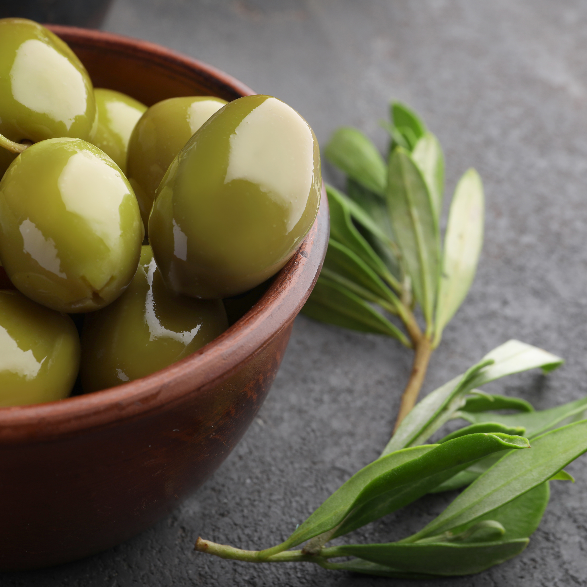 Paragon Olive Tree - Olea europaea Paragon