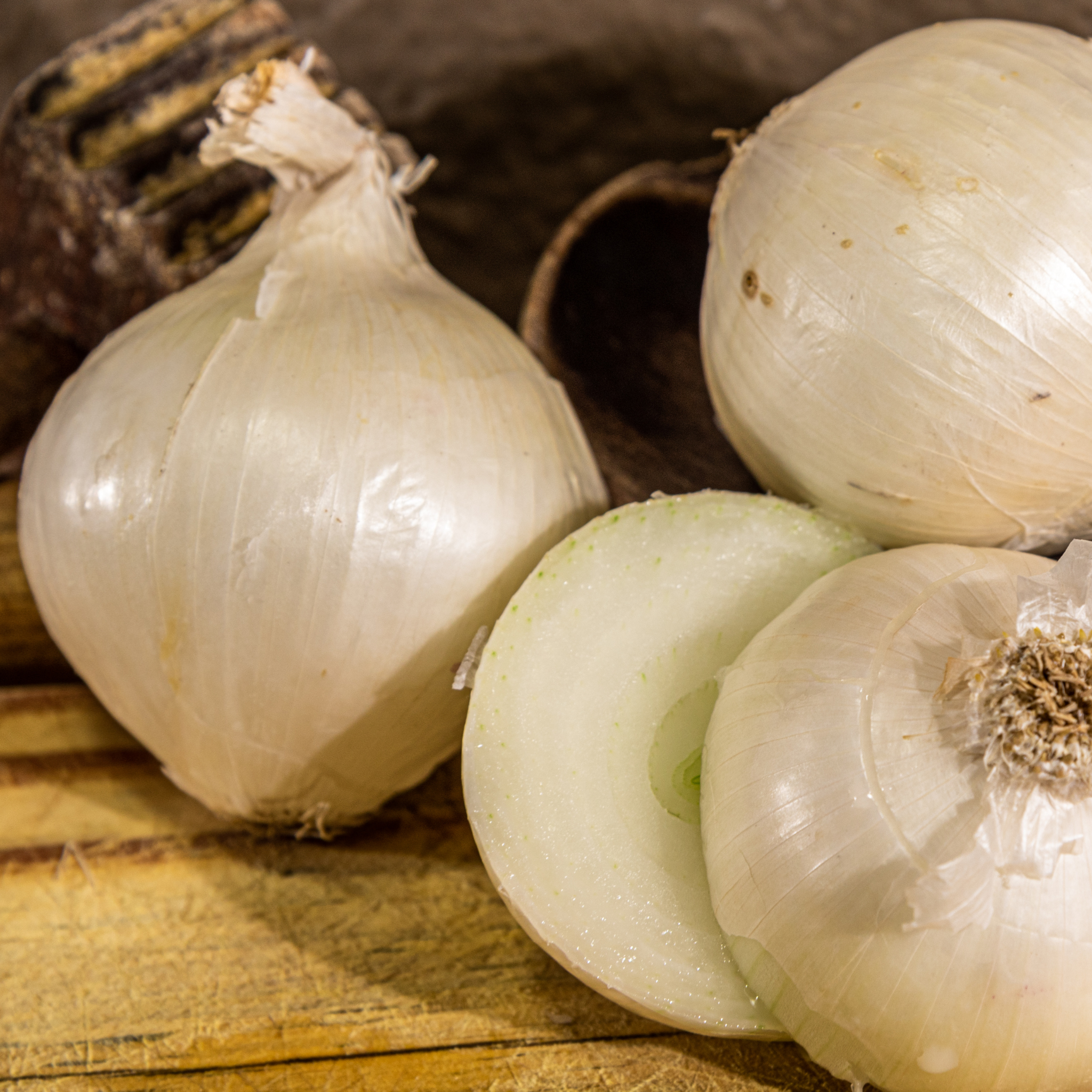 Common Onion - Allium cepa