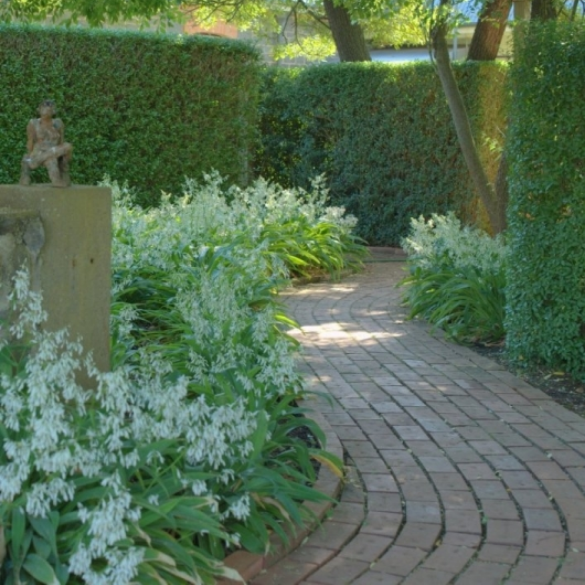 Garden pathway with white flowers and a statue, surrounded by greenery.