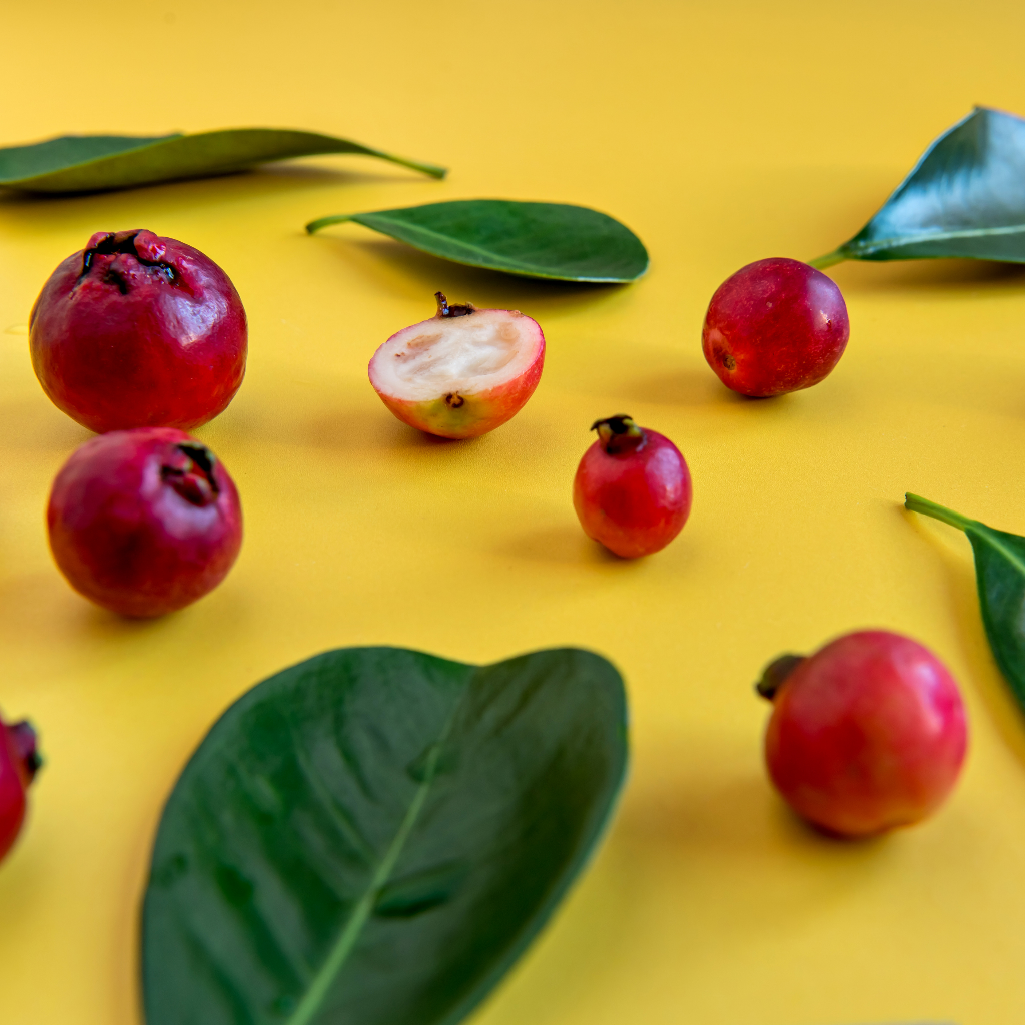 Red Strawberry Guava Tree - Psidium cattleianum Red