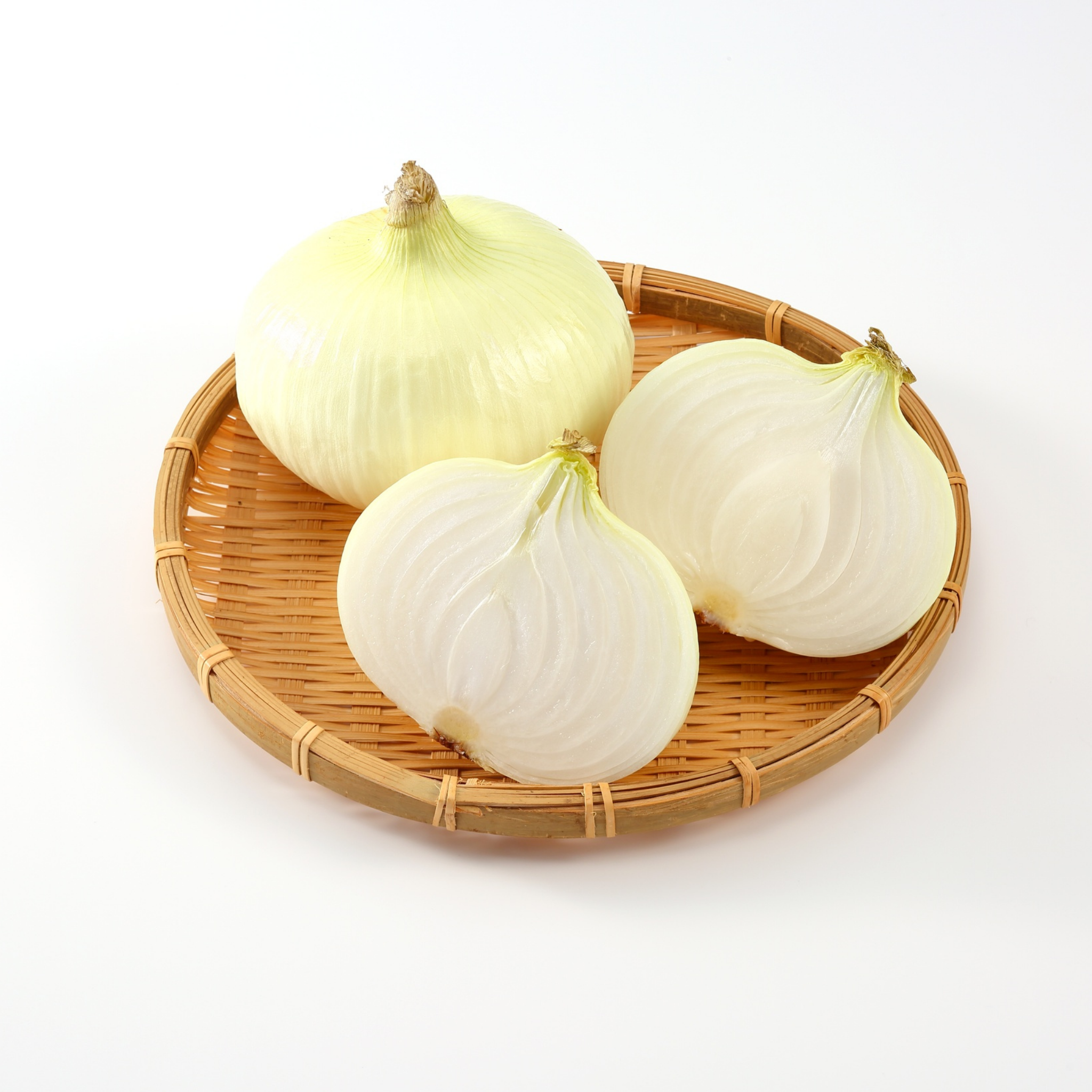 Common Onion - Allium cepa