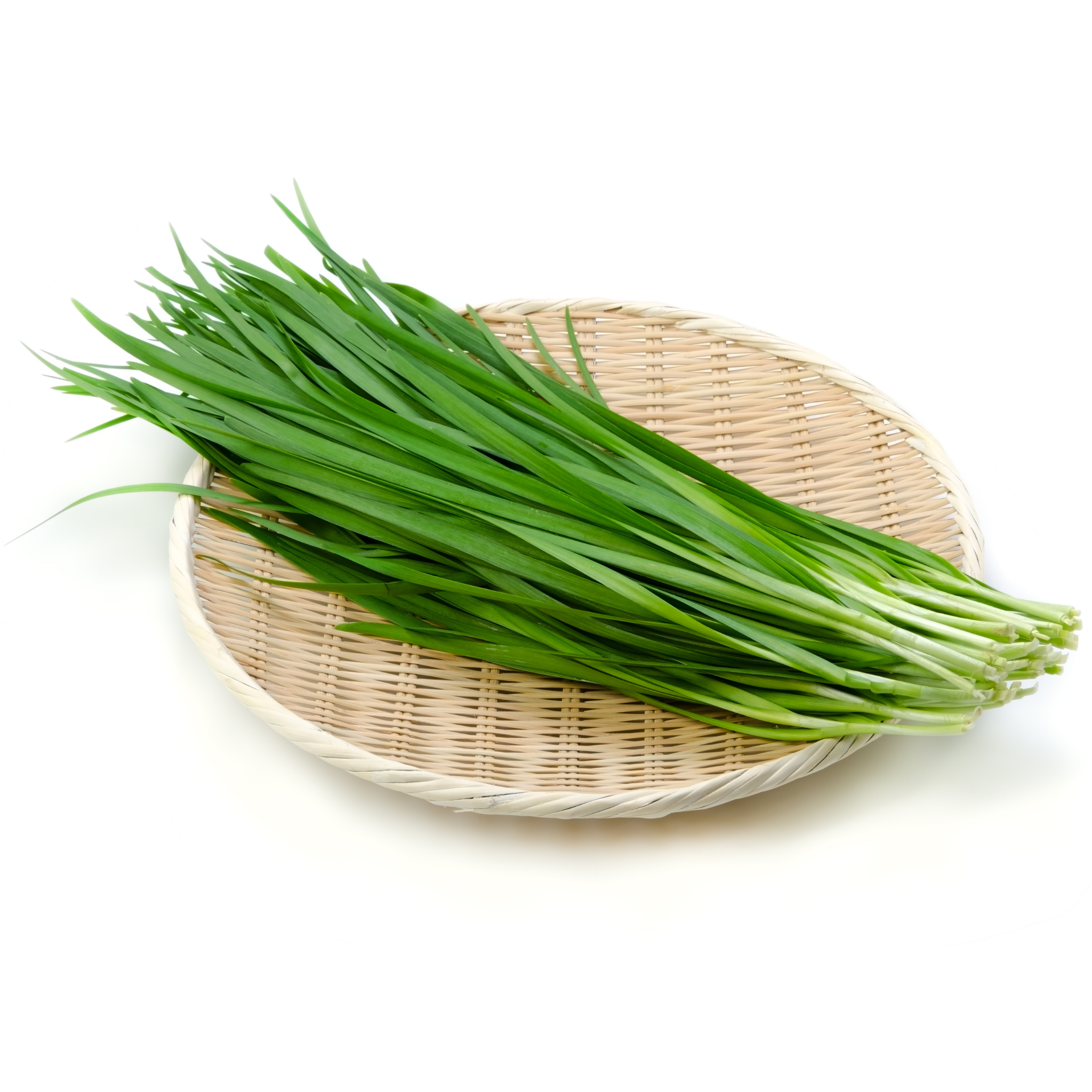 Garlic Chives - Allium tuberosum