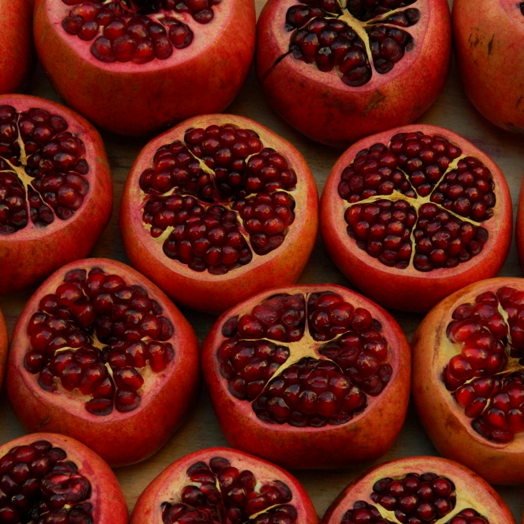 Pomegranate Tree - Punica granatum Wonderful