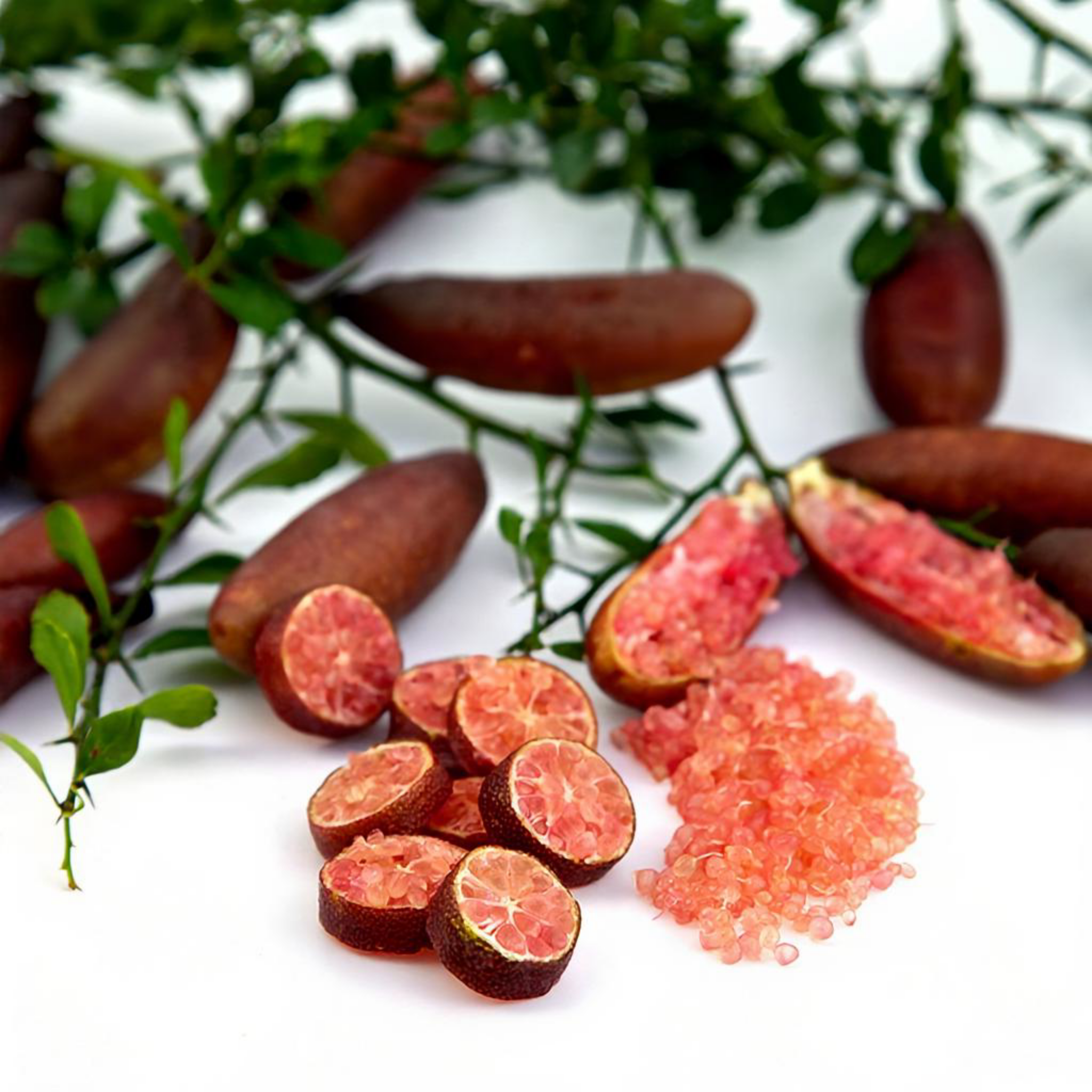 Whole and sliced Australian Finger Lime with green leaves on a white background