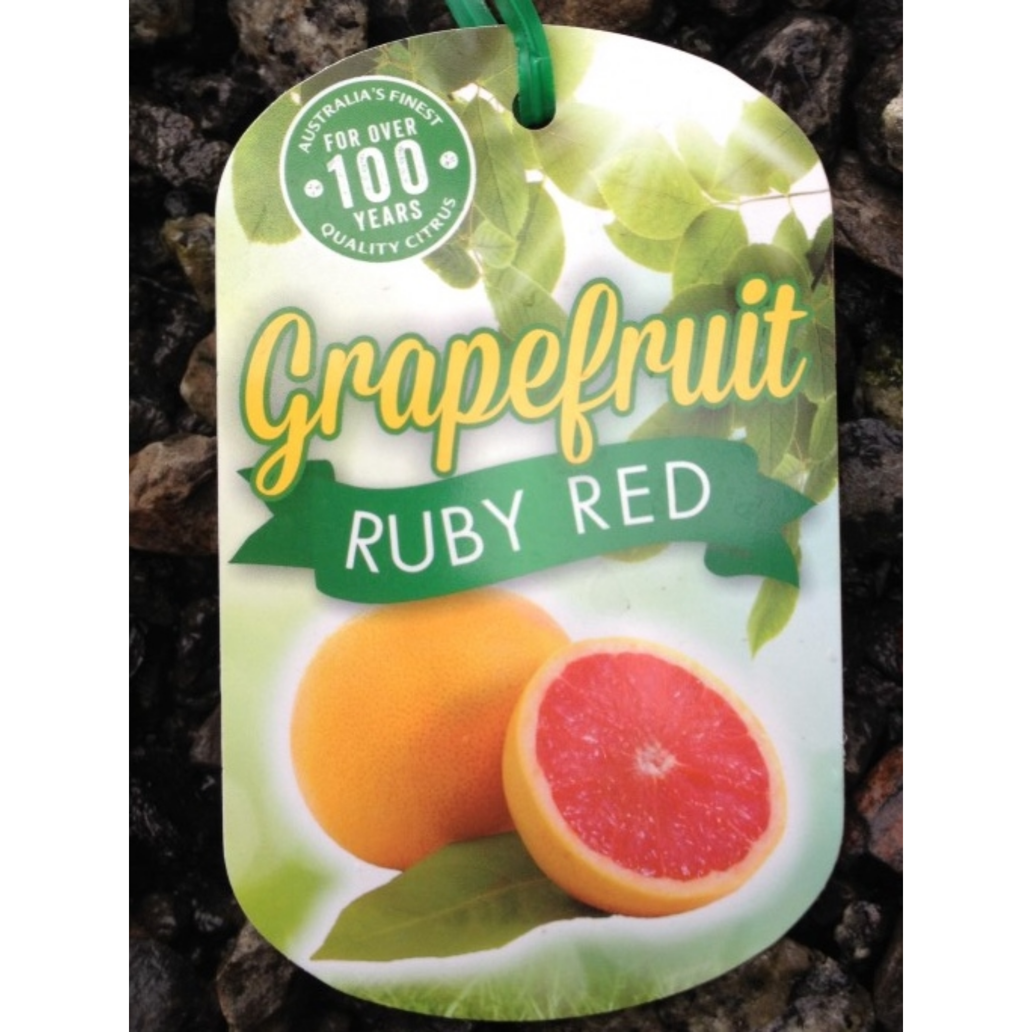 Grapefruit Ruby Red label with images of grapefruits on a dark background