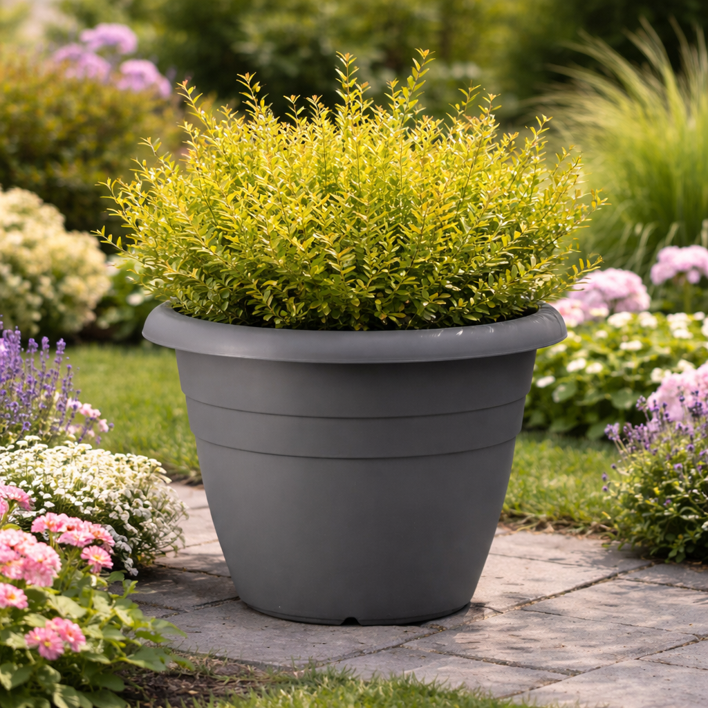 Gray planter with green bush in a garden setting